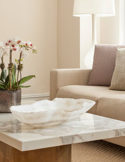 White, Furniture, Coffee table, Room, Table, Interior design, Floor, Living room, Tile, Plant, 