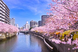 japan cruise 2024