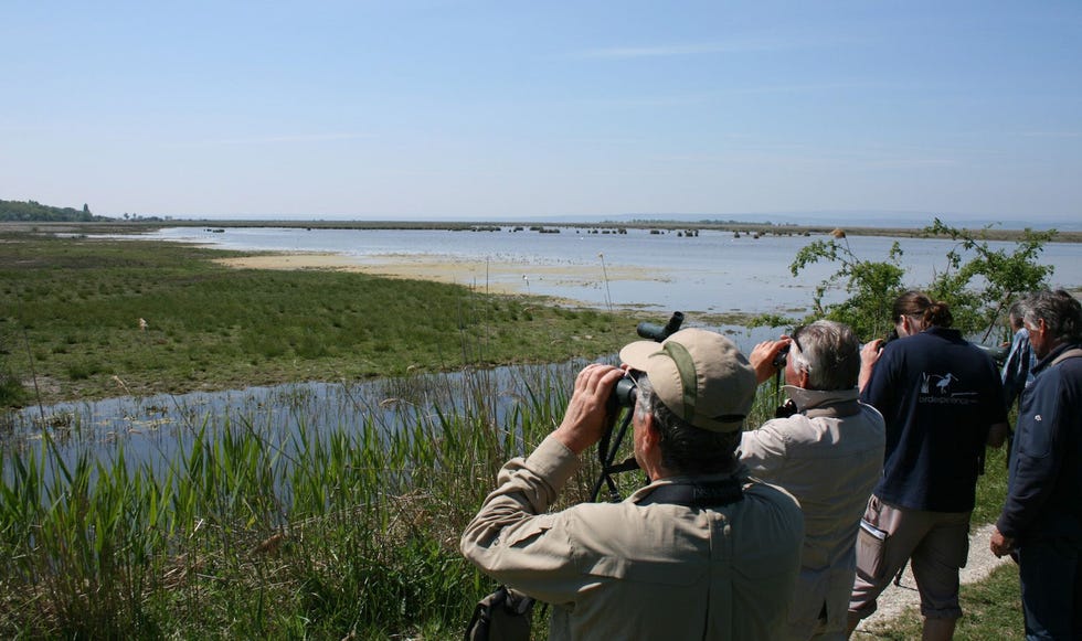 Foto Burgenland Tourismus