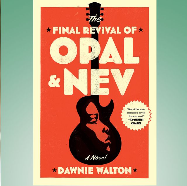 dawnie walton and the opal and nev book cover