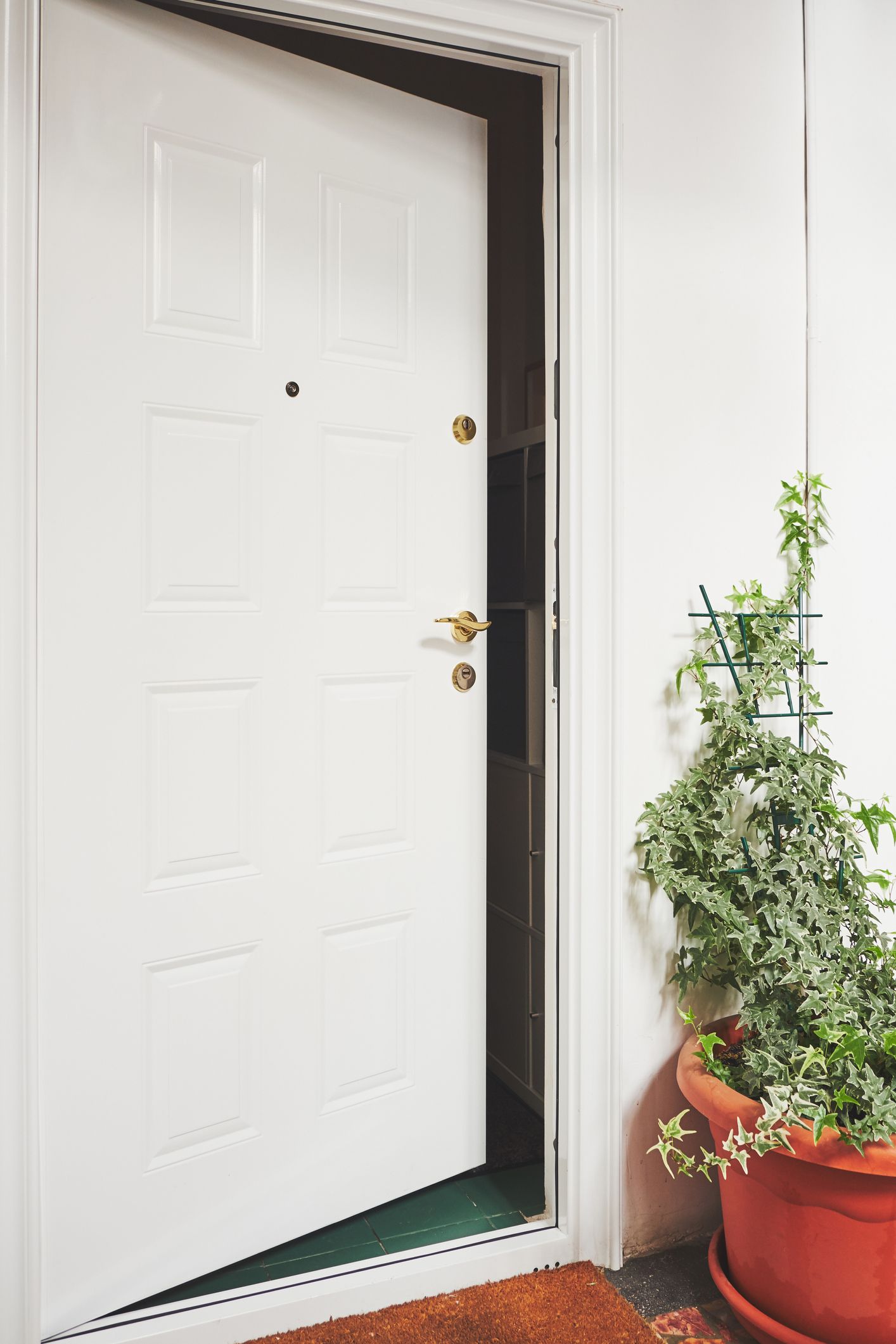 35 Stylish Front Door Decor Ideas With Plants | Balcony Garden Web