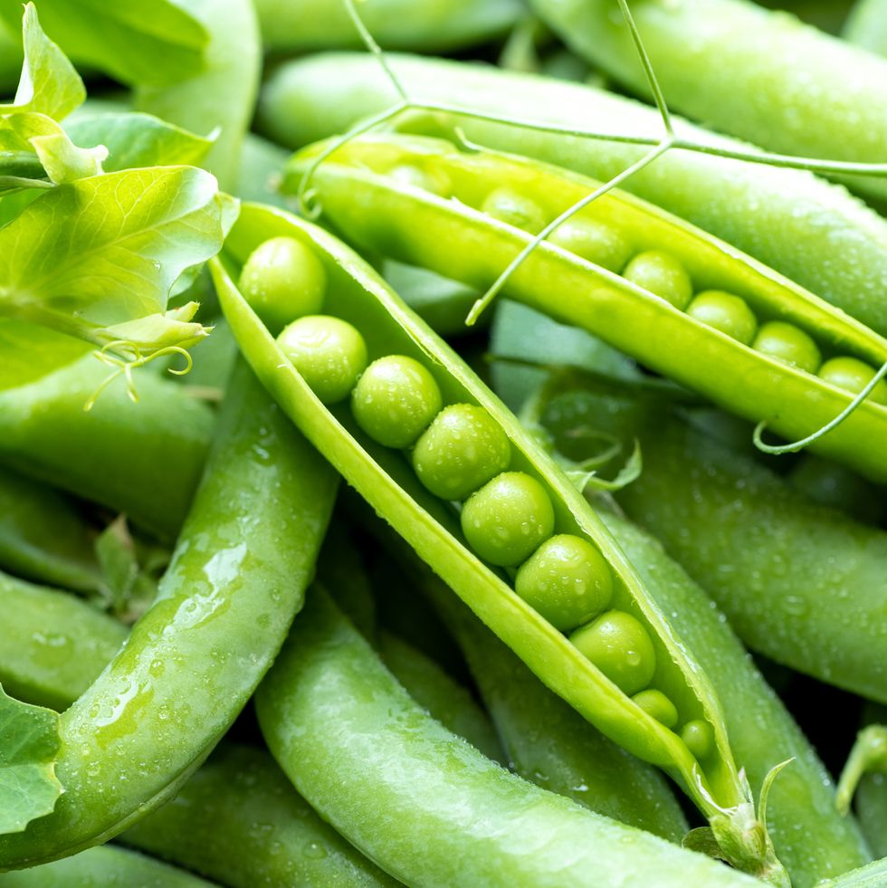 open green pea pods