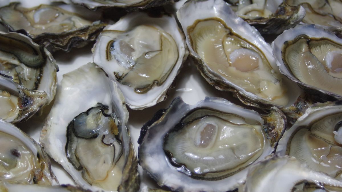 preview for Easy Grilled Oysters For Your Next BBQ