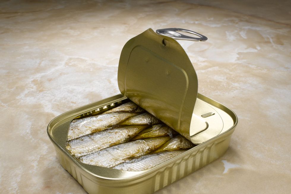 open sardine can, studio shot