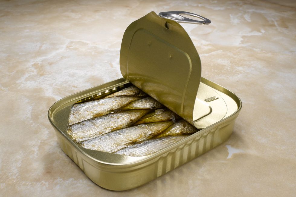 open sardine can, studio shot