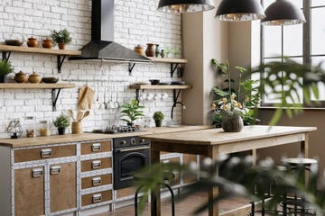 best low light houseplants