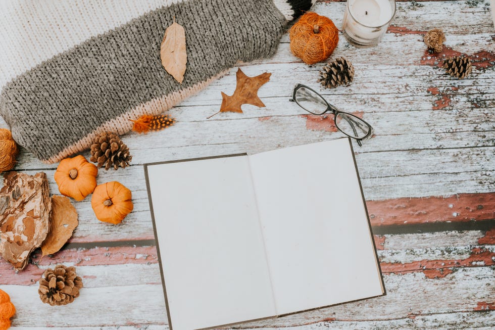 open vintage book, feathers, cozy blogger concept