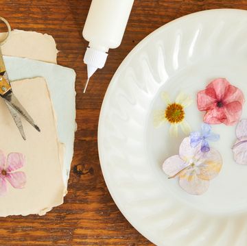 a plate with flowers and scissors