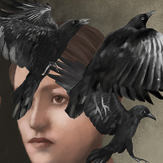 raven, Bird, Raven, Feather, Wing, Crow, Beak, Crow-like bird, Illustration, Blackbird, 