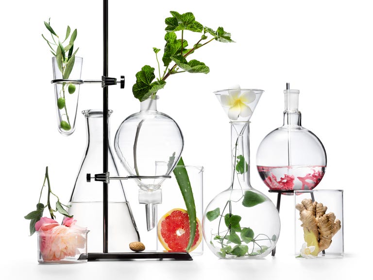 botanicals and beakers