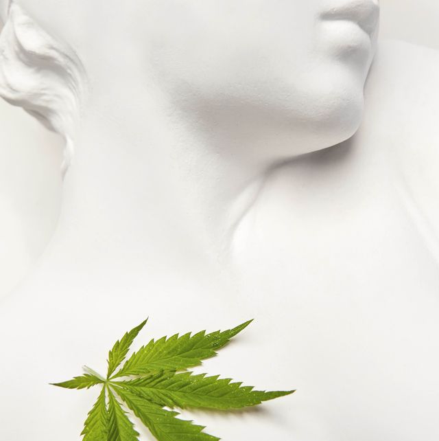 close up view of antique greek goddess statue made from gypsum with green natural cannabis leaf with copy sace