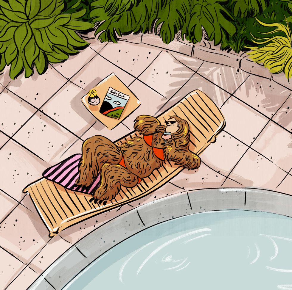 sloth at a resort