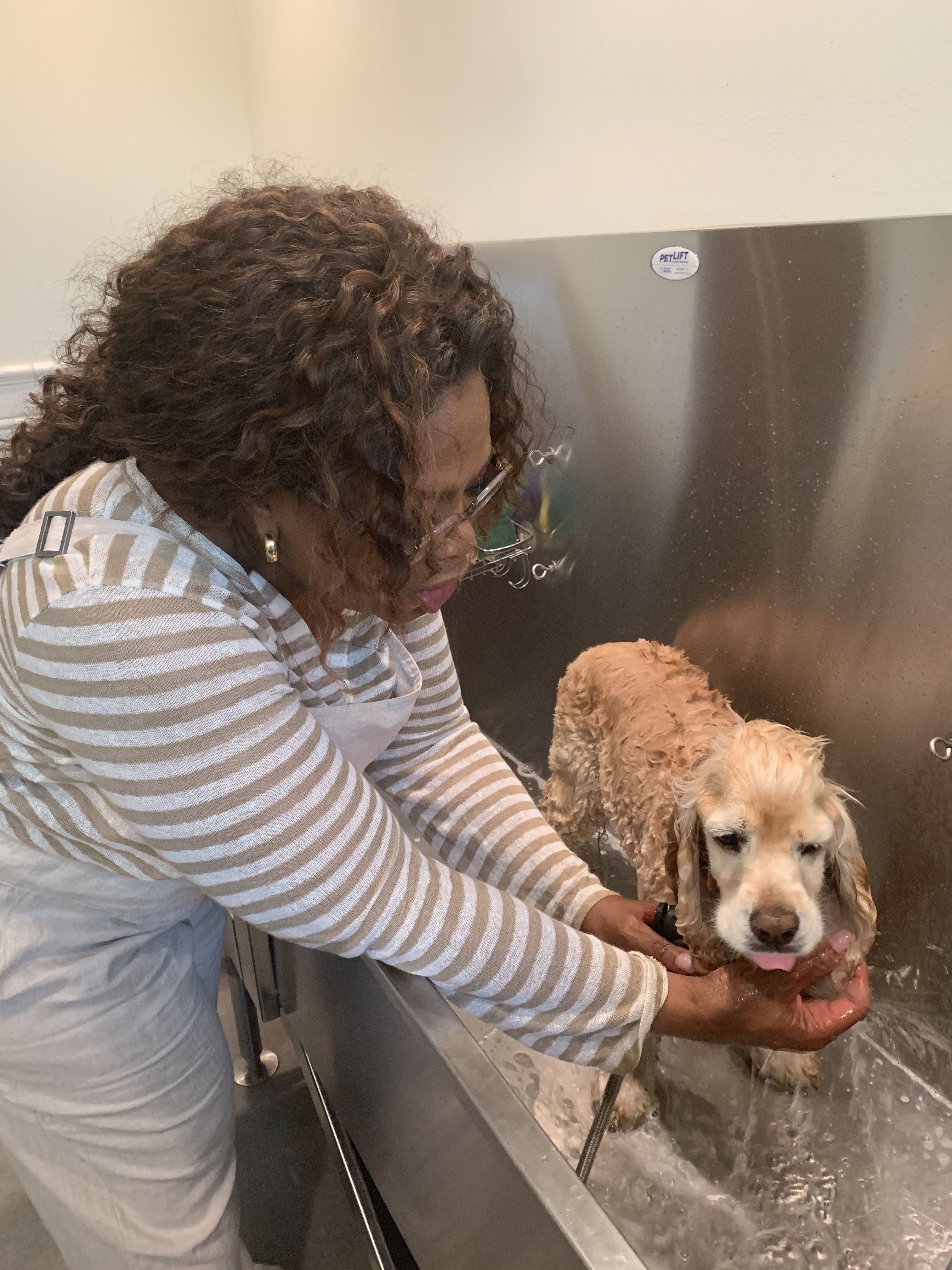 Oprah 2024 cocker spaniel