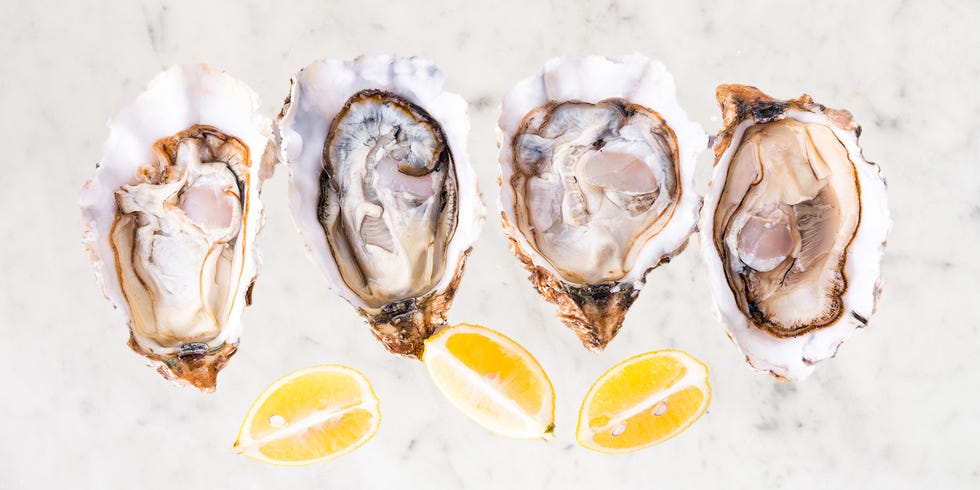 a group of sea shells