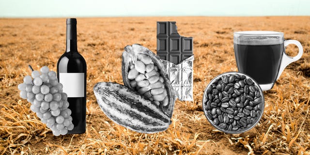 endangered foods