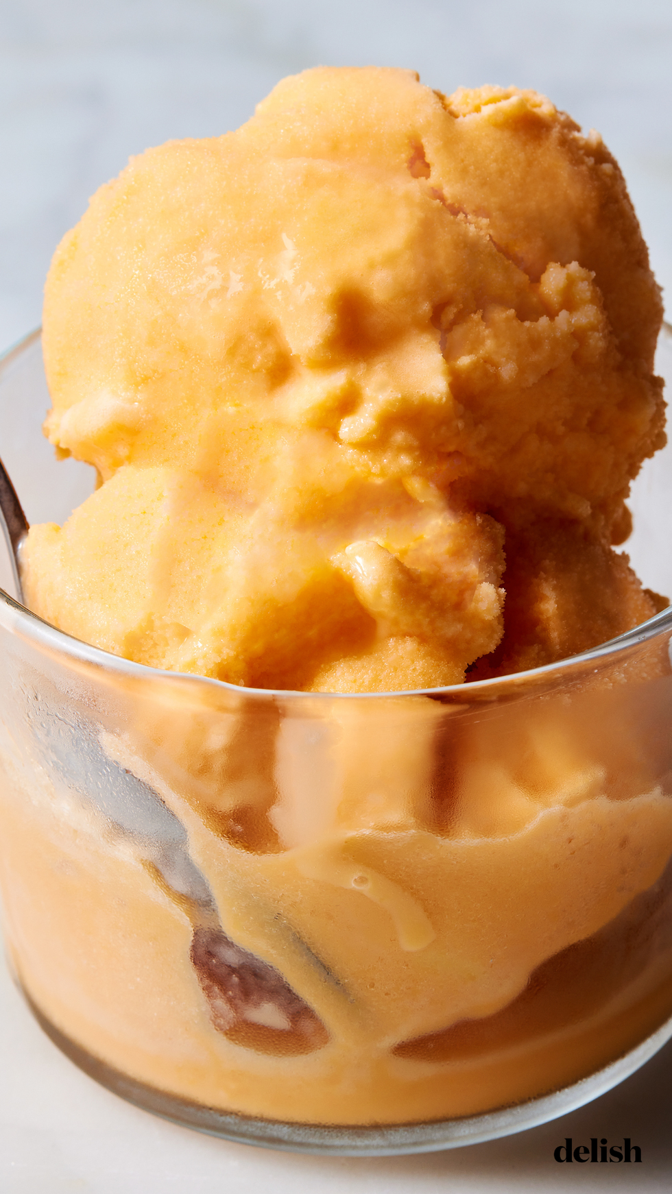orange sherbet with condensed milk orange juice concentrate and evaporated milk