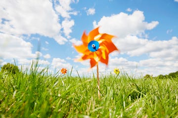 orange pinwheel on meadow against sky