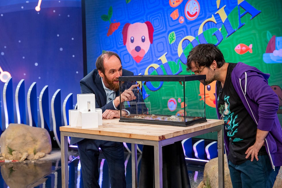 Órbita laika un mundo bajo nuestros pies