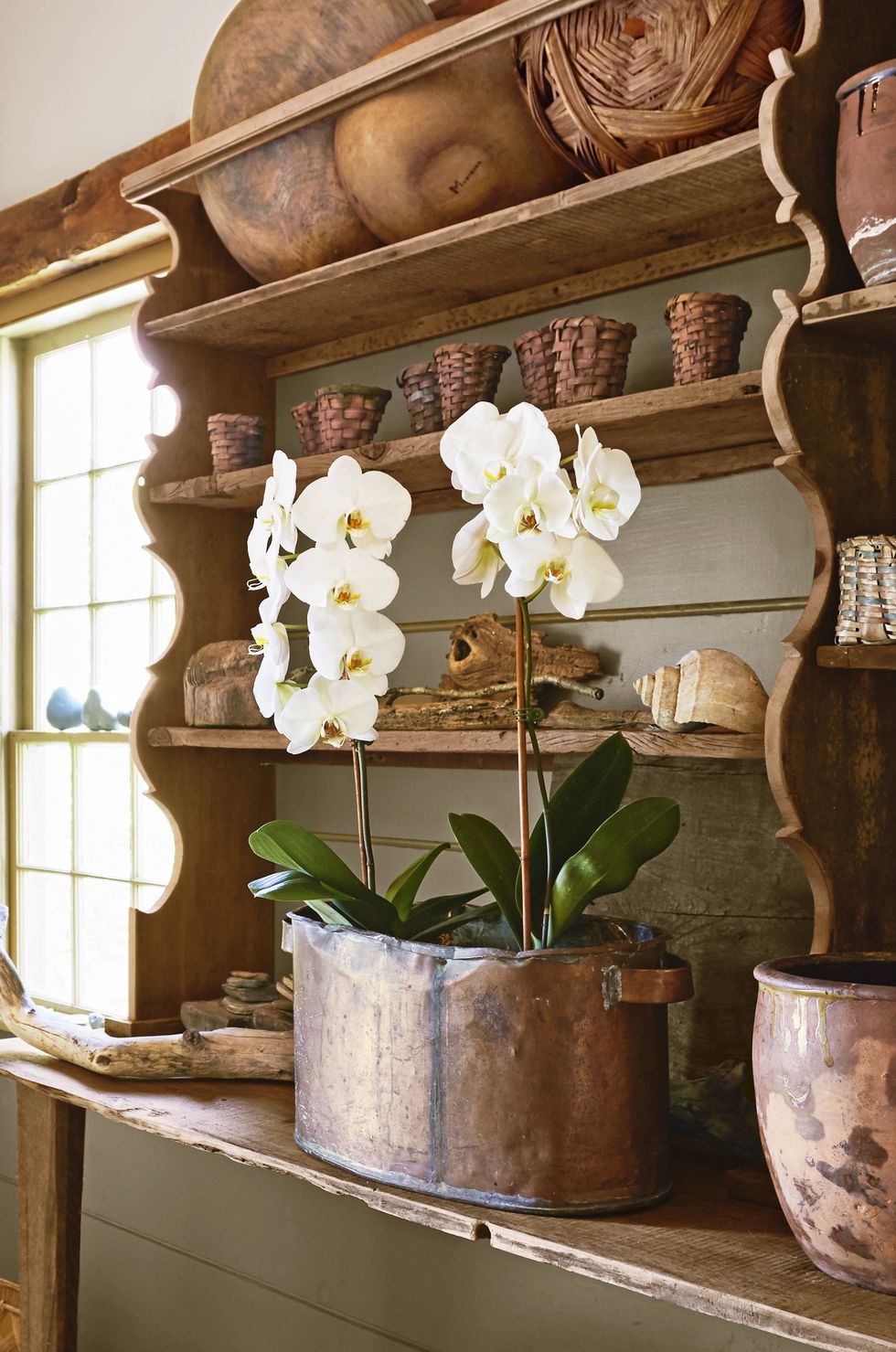 orchids copper bin diy flower arrangements ideas