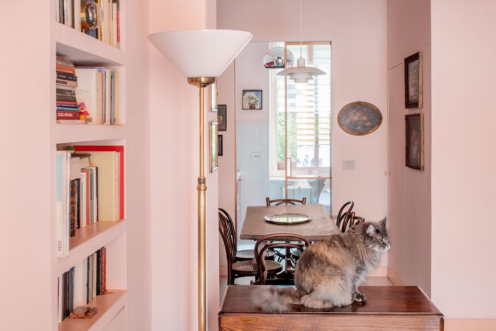 pink apartment