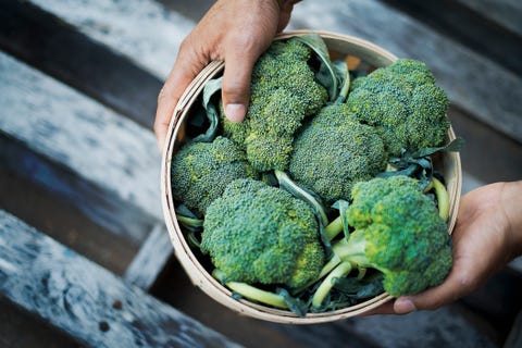 organic broccoli just harvested