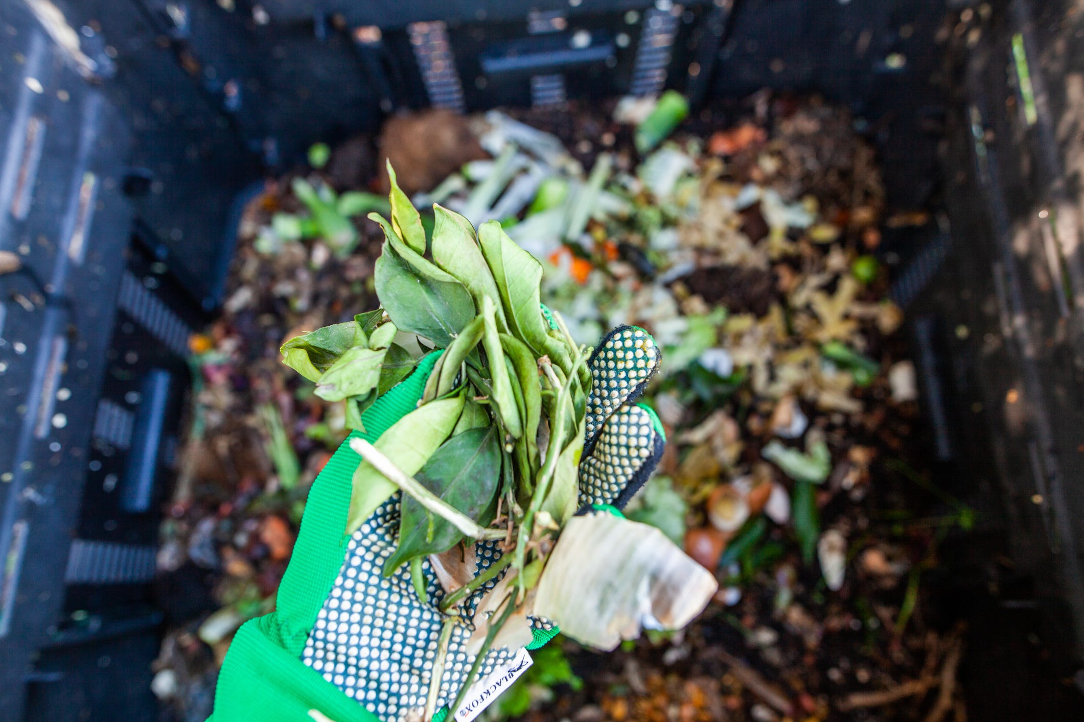 Gardeners: Here's Everything You Need to Know about Using Organic Fertilizer