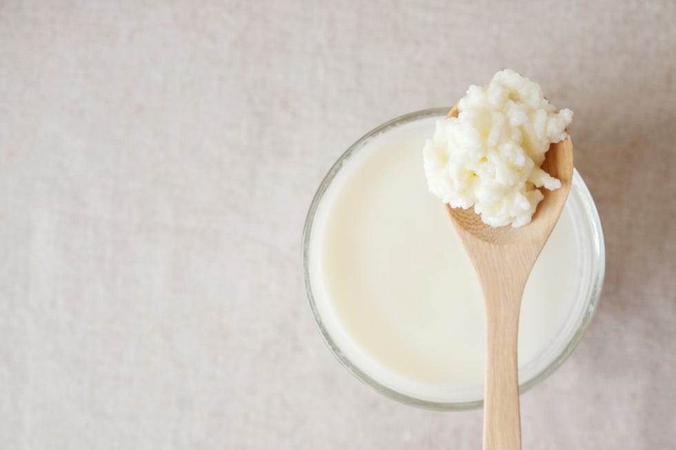 Organic probiotic milk kefir grains, Tibetan mushrooms on wooden spoon over kefir milk in a glass