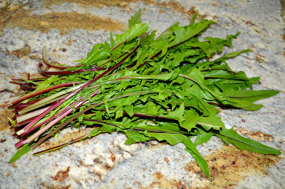 organic red dandelion greens