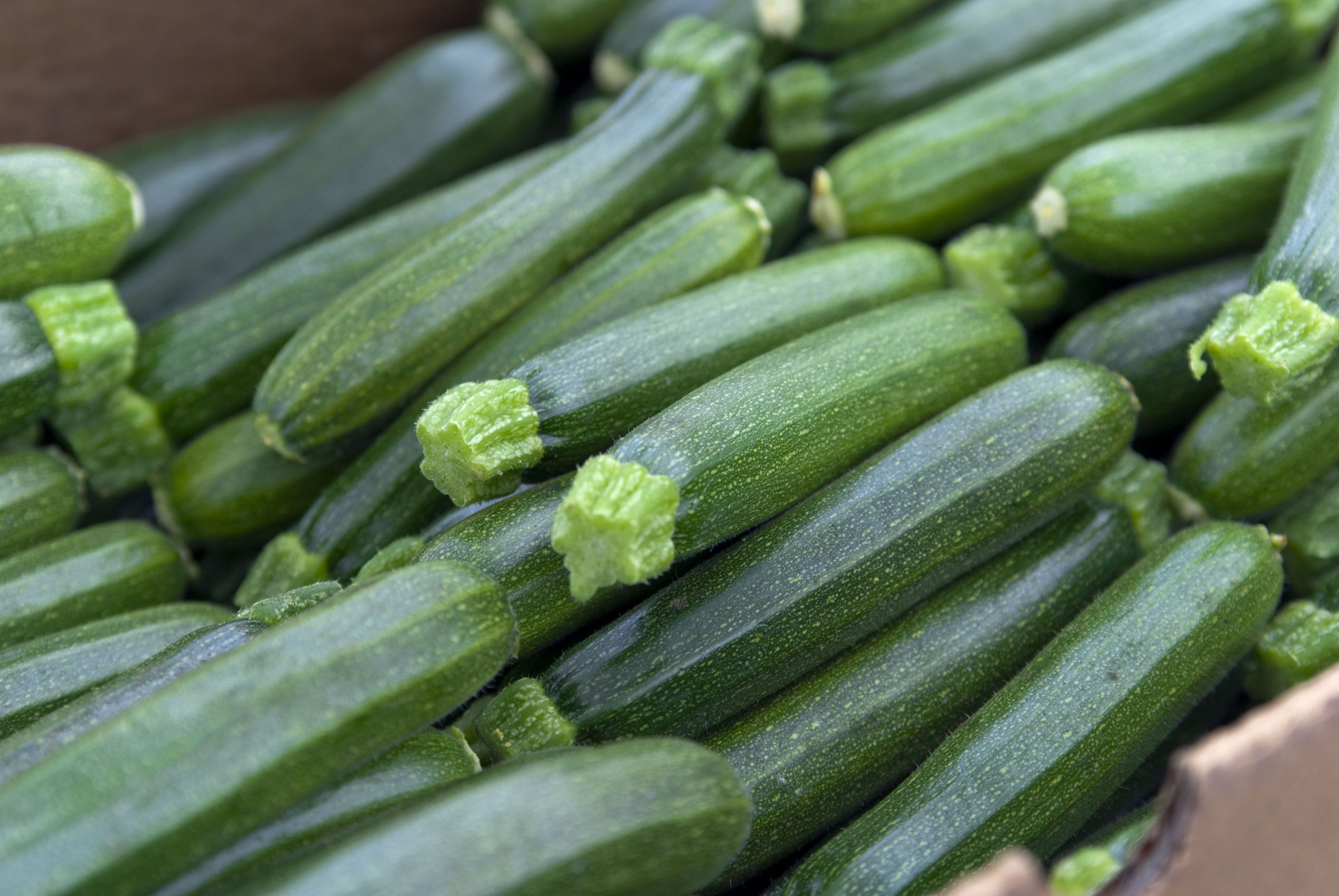 夏天減肥聖品「櫛瓜」優點不只高纖低熱量！關於櫛瓜營養好處的7個小知識＋減脂料理推薦