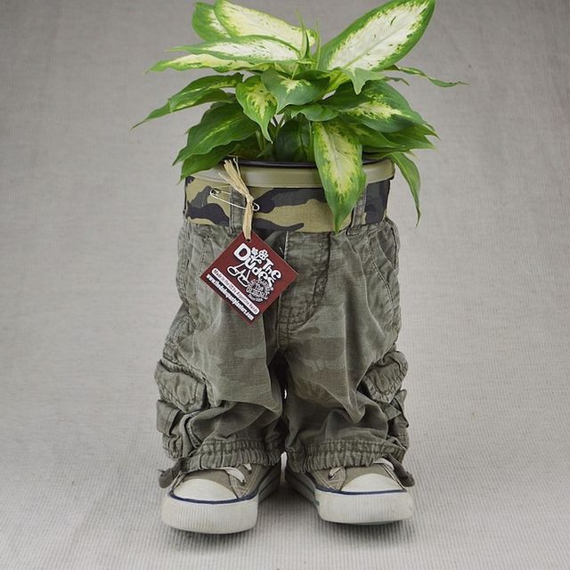 Plants In Pants Is the Brilliant Flower Trend You Never Knew About