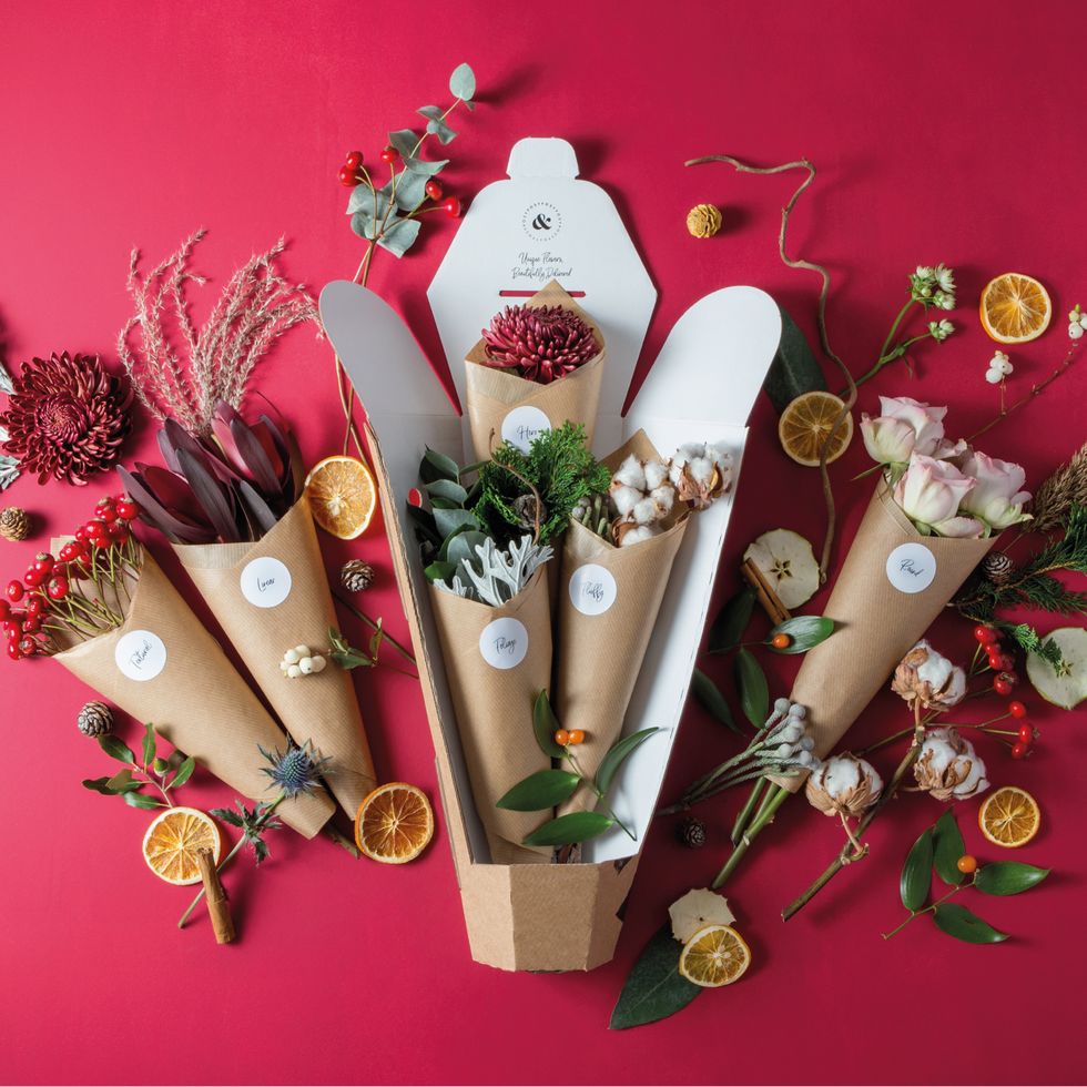 Cut flowers, Cinnamon stick, Plant, Cone, Still life photography, Christmas decoration, Interior design, 