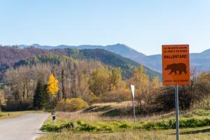 aorsi, montagna, sicurezza