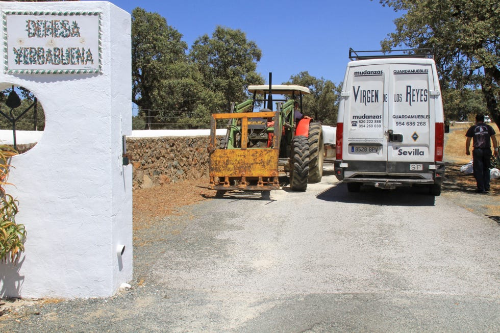 Asphalt, Transport, Road surface, Wall, Vehicle, Tree, Soil, Concrete, Public utility, Road, 