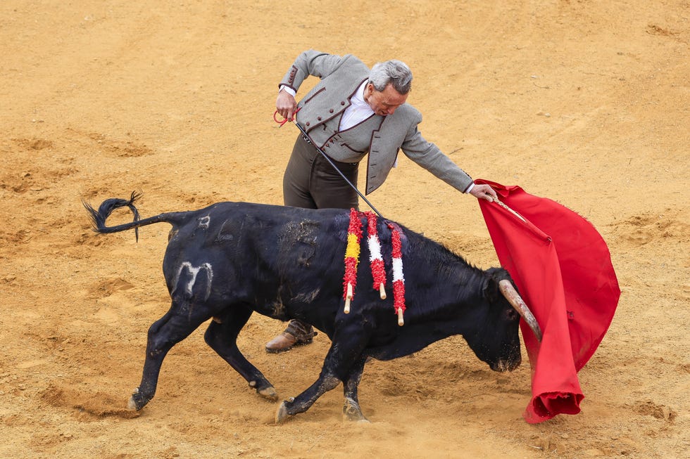 jose ortega cano vuelve toros