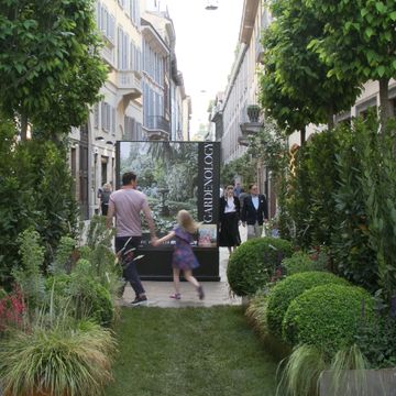 Shrub, Grass, Tree, Plant, Event, Courtyard, Garden, Ceremony, Street, Building, 