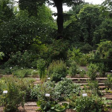giardini botanici