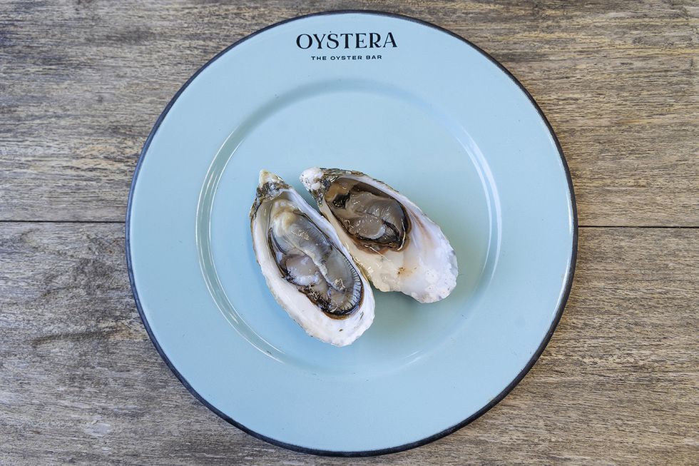 los ostiones son una de las especialidades del restaurante oystera, en todos santos méxico