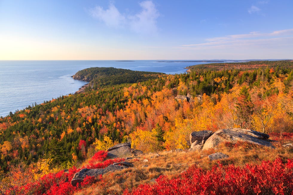 otter point from gorham mountain in autumn, acadia national park