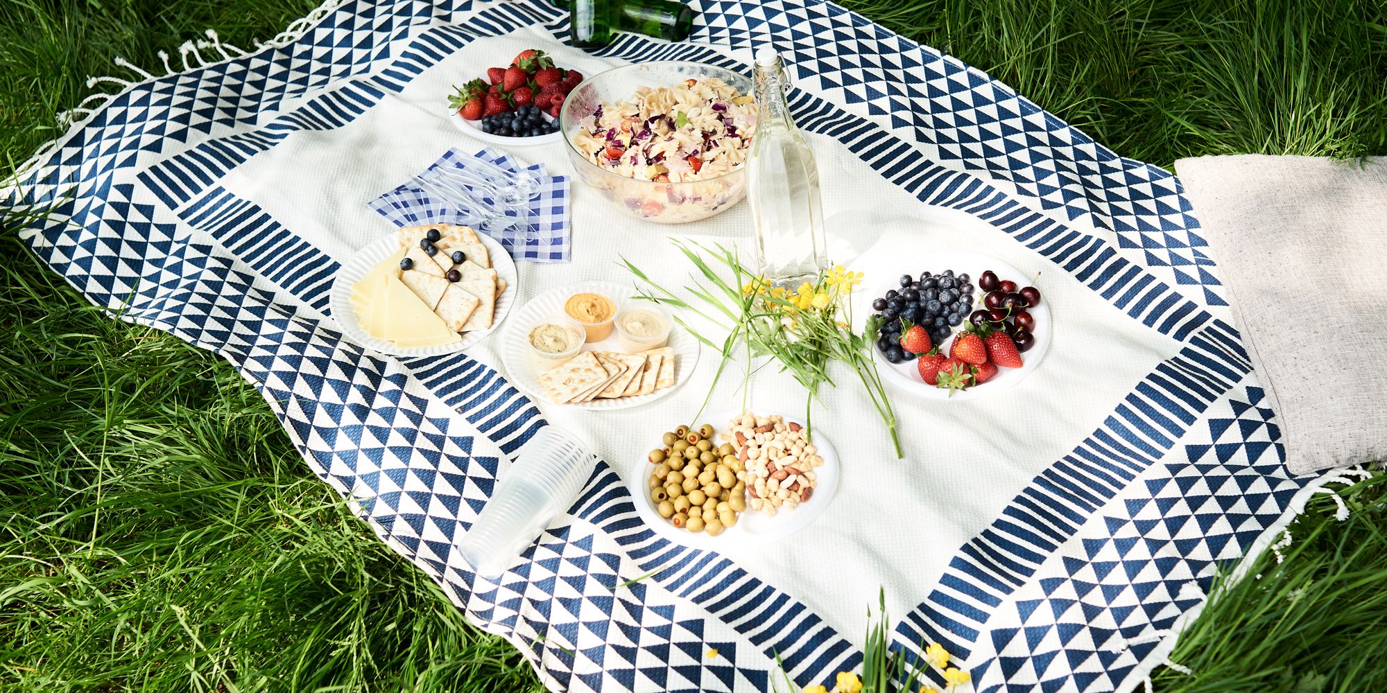 outdoor blanket with picnic foods on grass