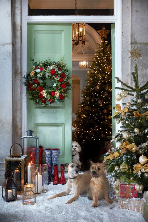 Christmas decoration, Christmas ornament, Christmas, Christmas tree, Home, Tree, Door, Window, Room, Canidae, 