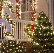best outdoor christmas tree lights