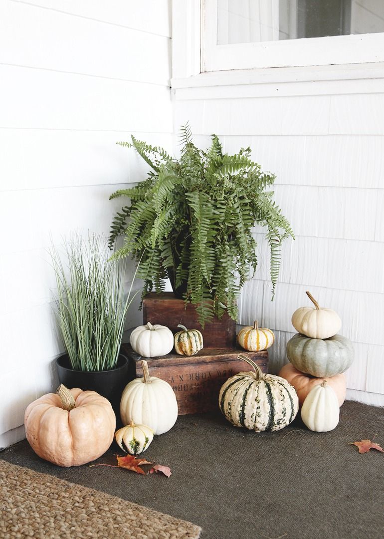 Decorating Ideas for a Fall Farmhouse Brunch