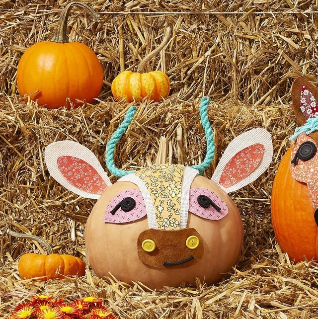 https://hips.hearstapps.com/hmg-prod/images/outdoor-halloween-decorations-1624403420.jpeg?crop=1.00xw:0.668xh;0,0.129xh&resize=640:*