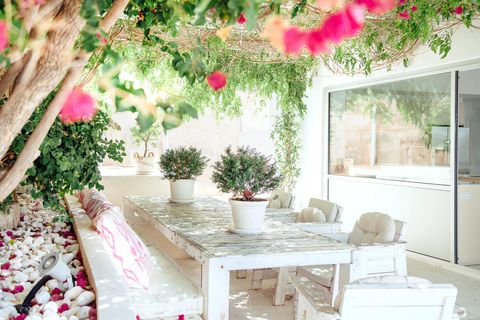 Pink, Room, Property, Red, Interior design, Furniture, Table, Home, Flower, House, 