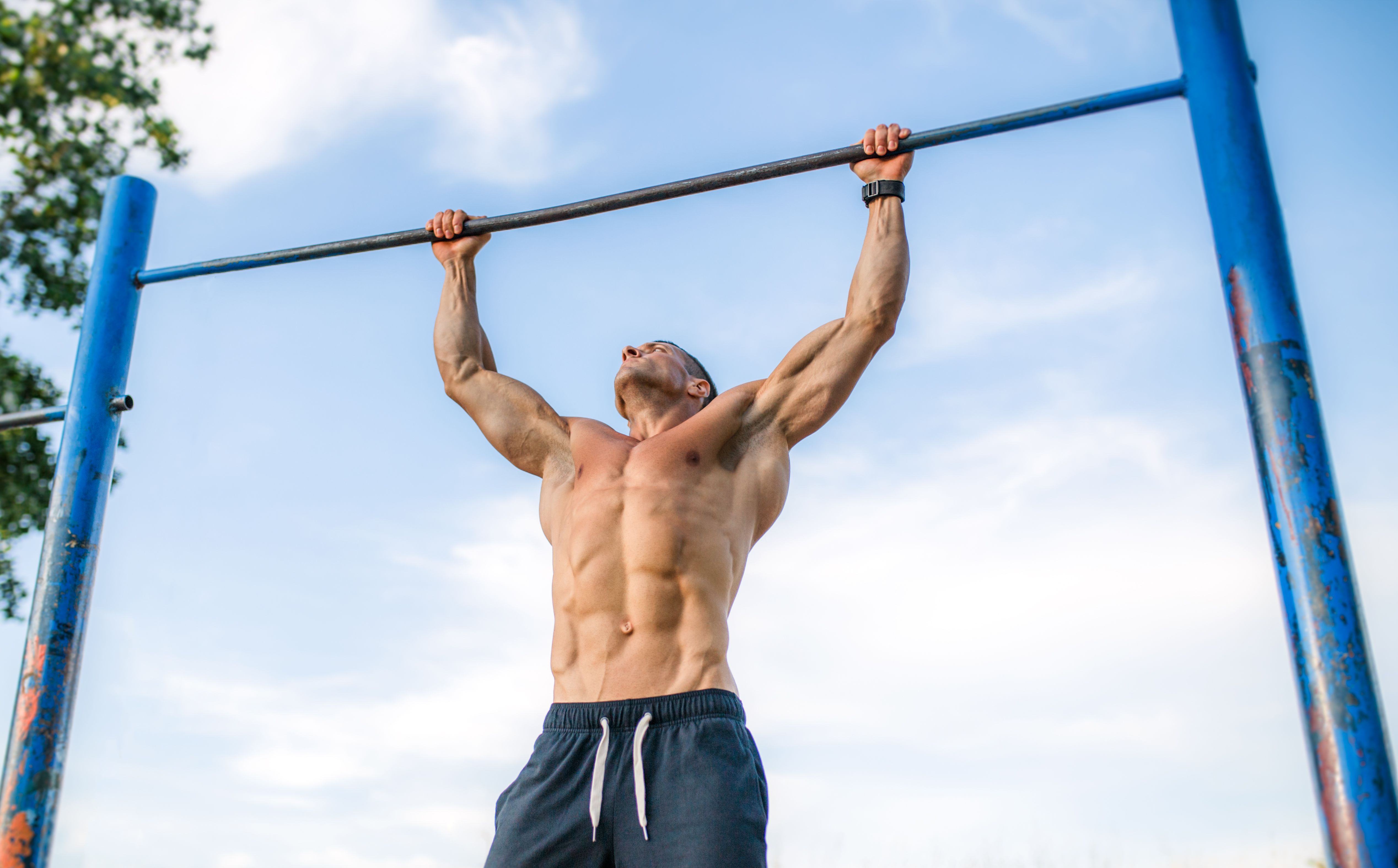 FREE Two Week Protocol for Pullups and Pushups (Increase 50-100