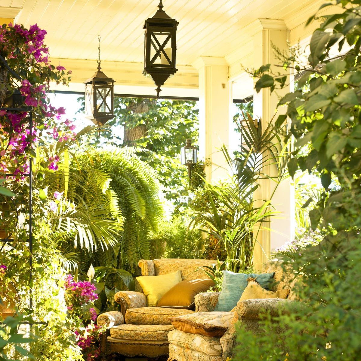 Garden Plants