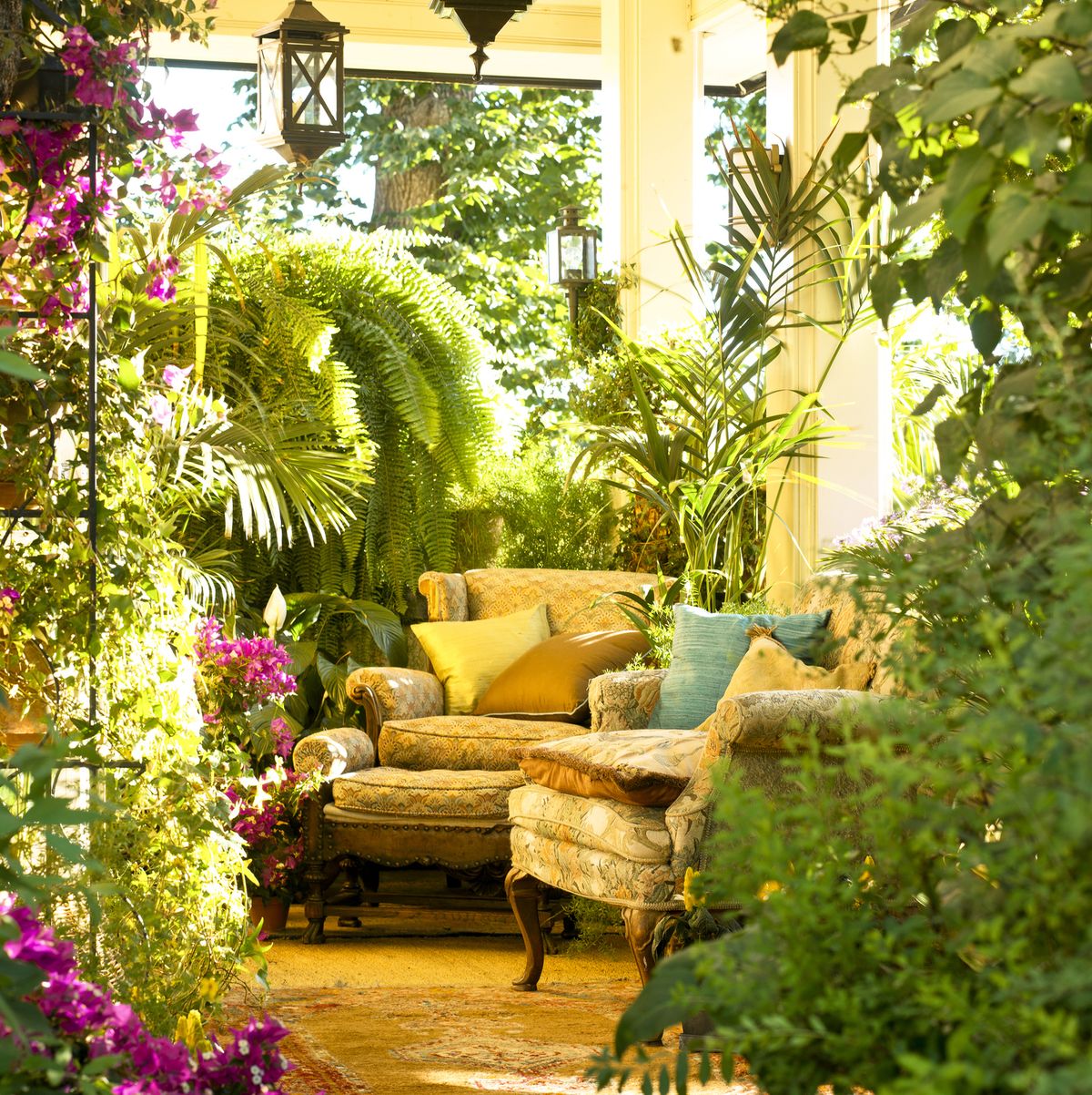 Garden Plants Garden Plants