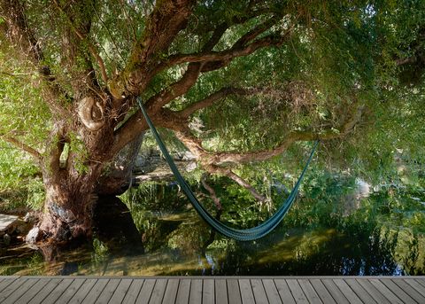 outdoor hammock over water