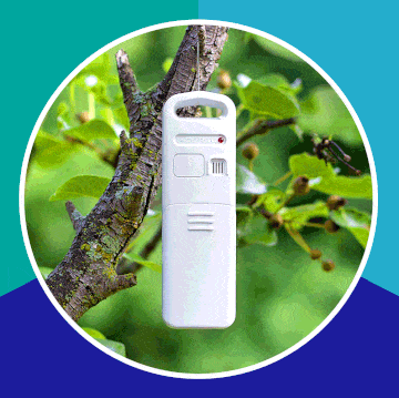 outdoor thermometers best 2019