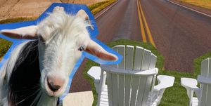 a collage of a goat, lawn chairs, and open road